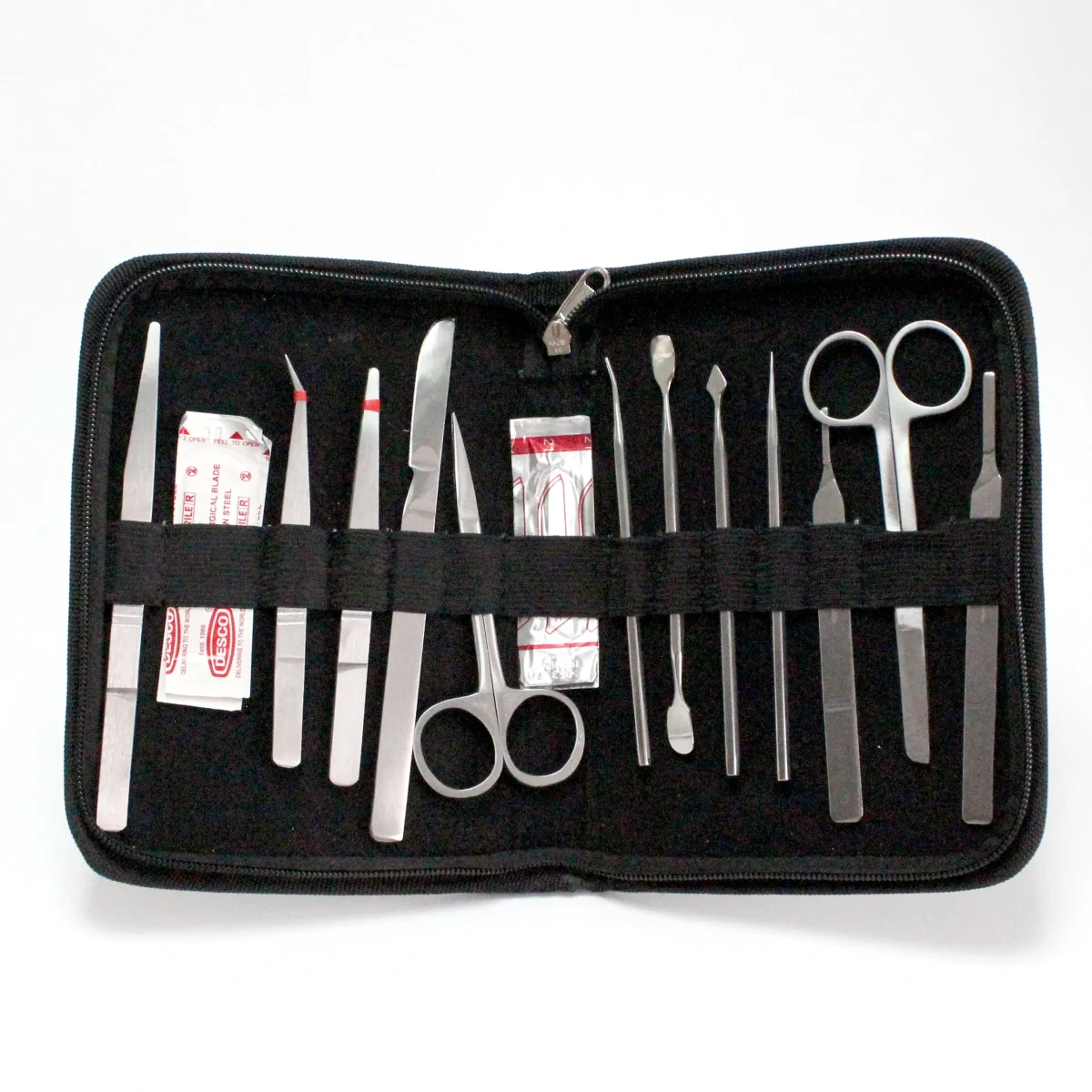 19 IMG 1067 scaled 19 IMG 1067 scaled