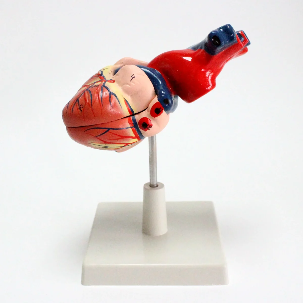 6 IMG 1091 scaled 6 IMG 1091 scaled