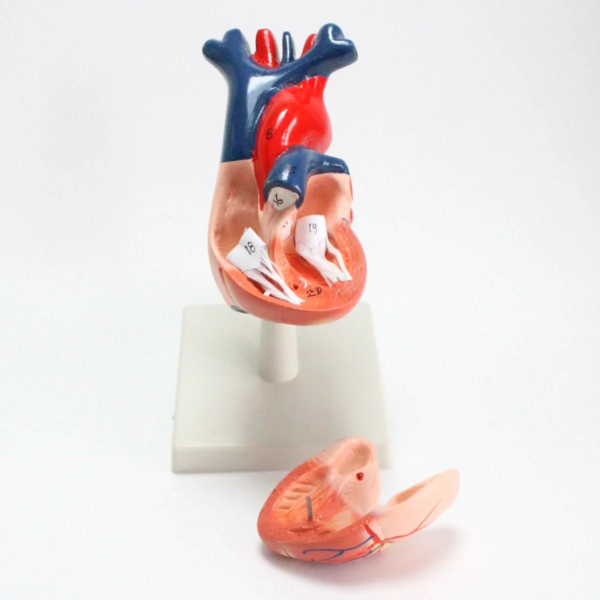 6 IMG 1093 scaled 6 IMG 1093 scaled