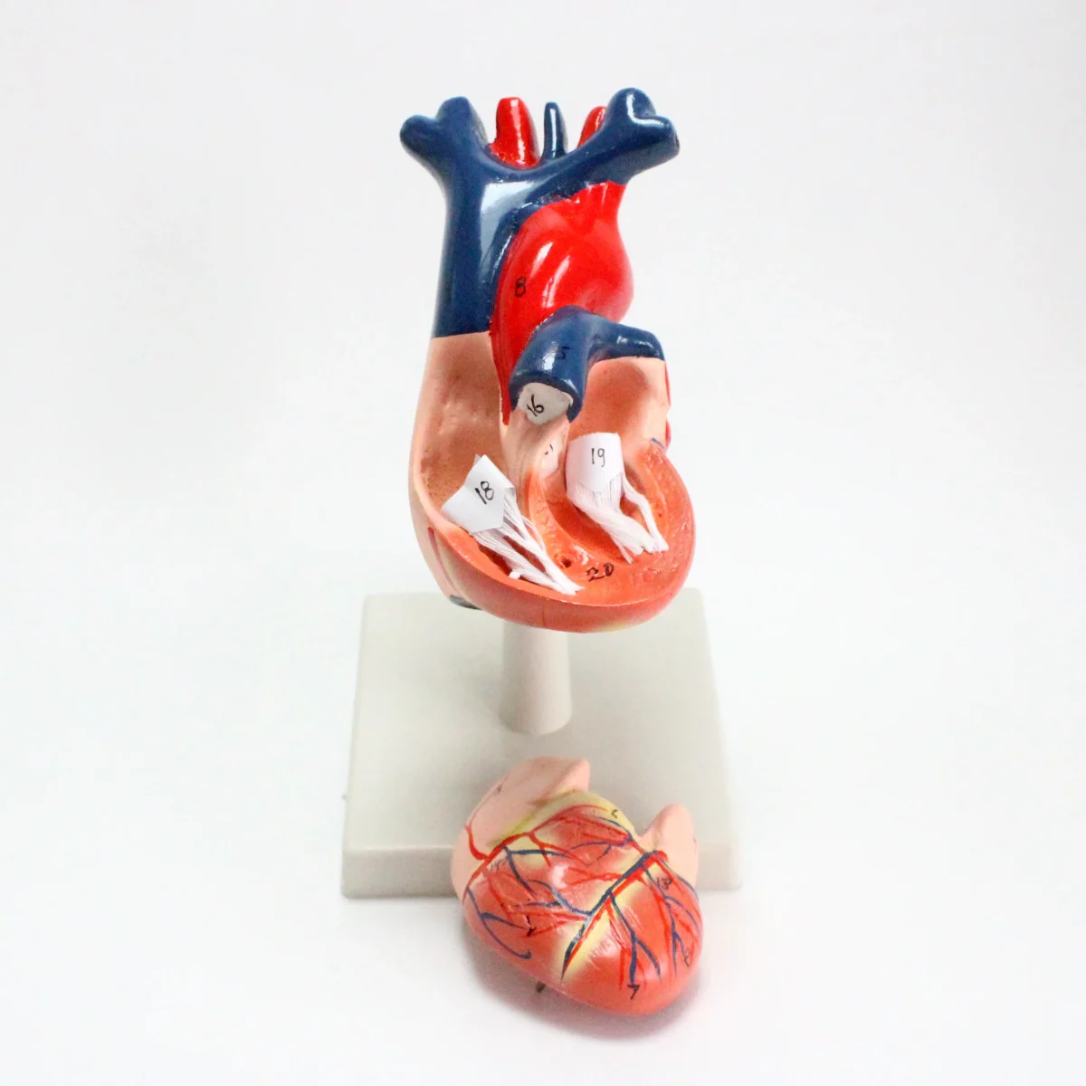 6 IMG 1094 scaled 6 IMG 1094 scaled