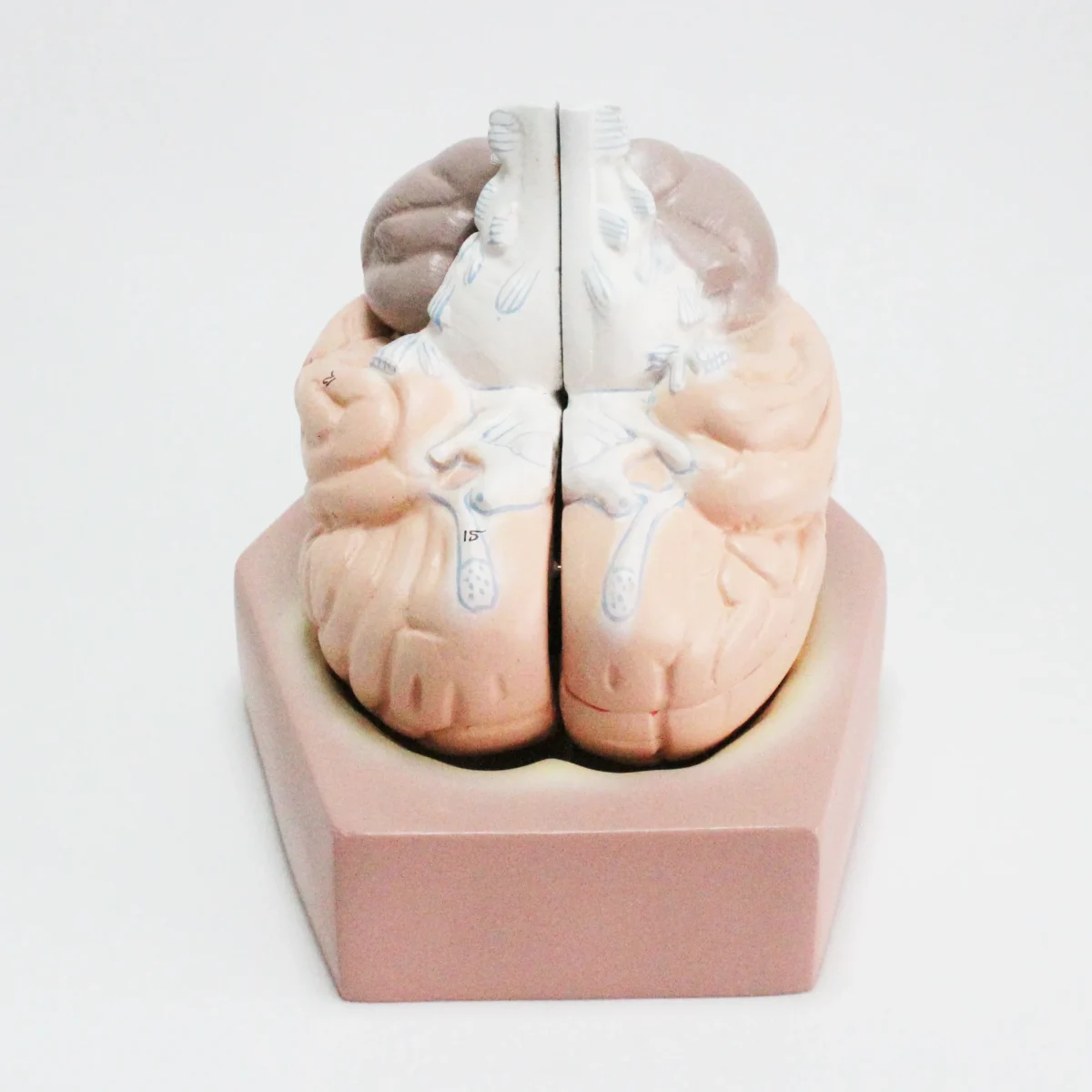 7 IMG 1054 scaled 7 IMG 1054 scaled