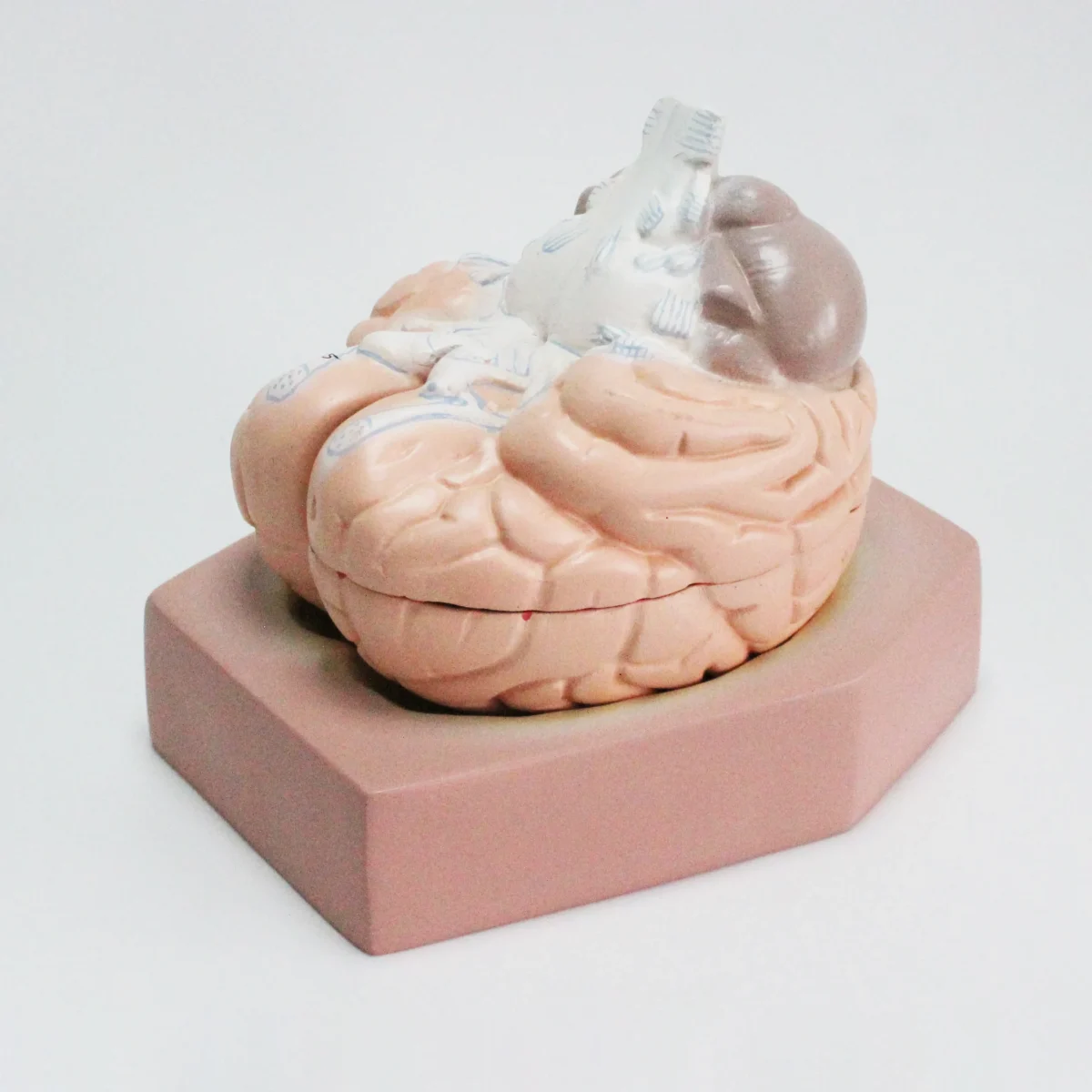 7 IMG 1055 scaled 7 IMG 1055 scaled