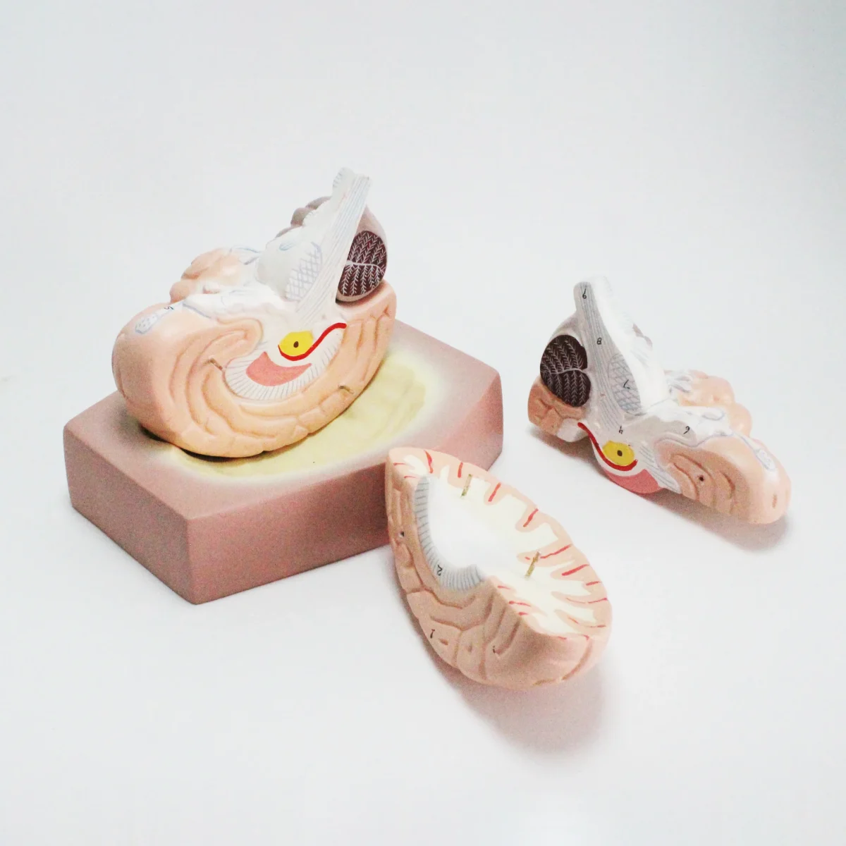 7 IMG 1056 scaled 7 IMG 1056 scaled