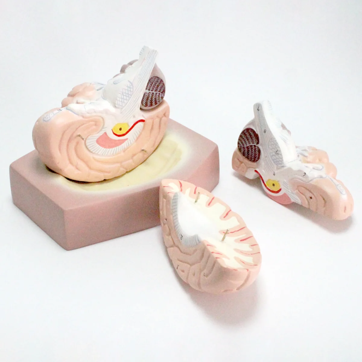 7 IMG 1057 scaled 7 IMG 1057 scaled