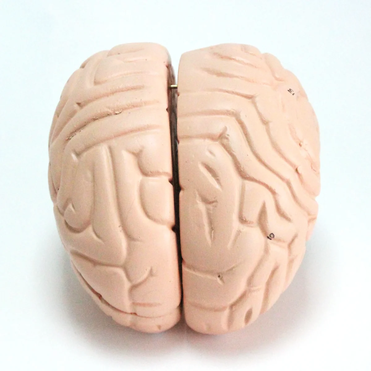 7 IMG 1059 scaled 7 IMG 1059 scaled