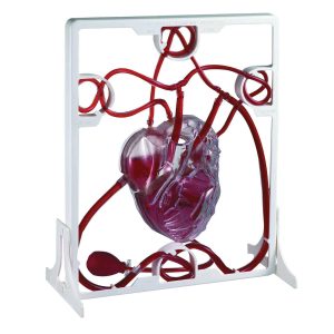 Catalogue 307 scaled