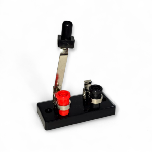 Interrupteur mono polaire à levier