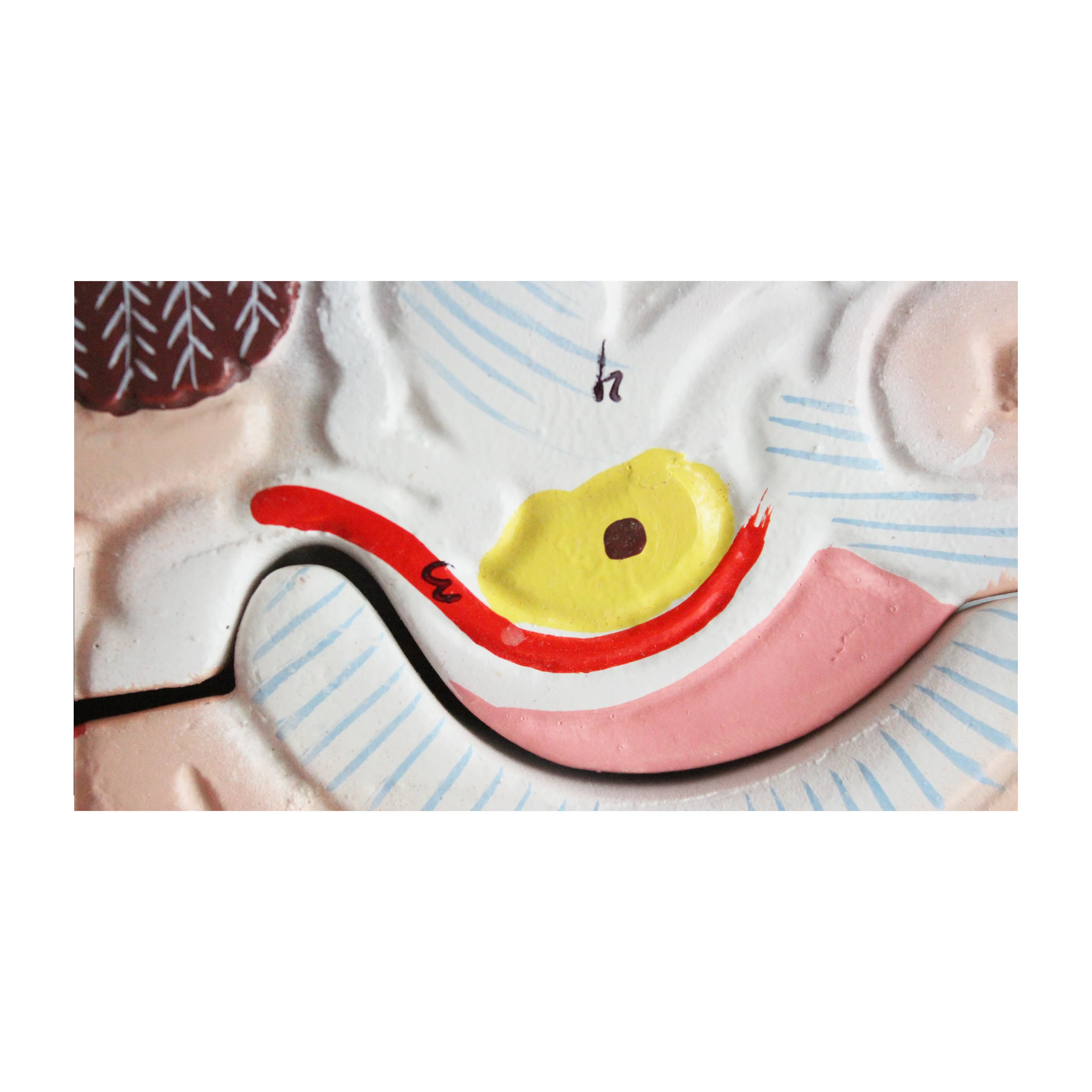 Modèle de squelette humain