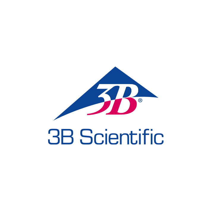 3B SCIENTIFIC